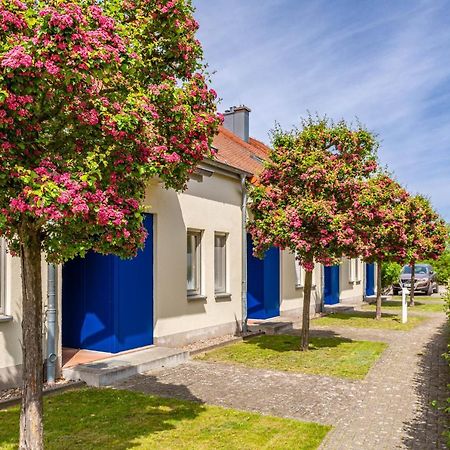 Apartment Biber Mit Terrasse Dewichow Dış mekan fotoğraf
